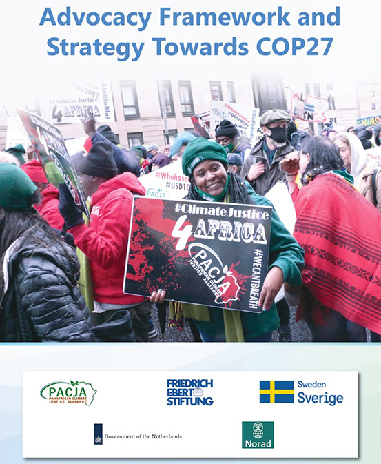 Advocacy-Framework-COP29