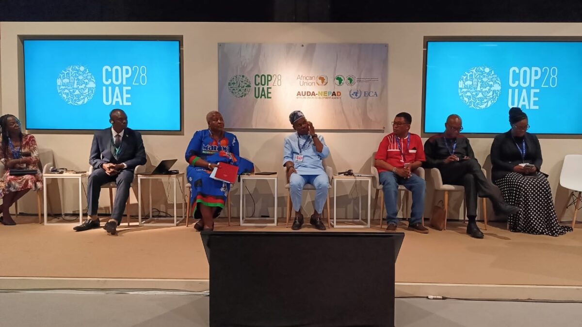 health at COP28