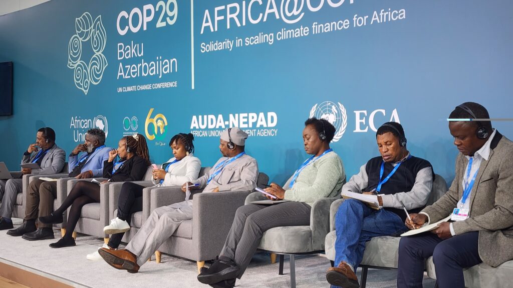 PRESS RELEASE: COP 29 Outcome is a Flop