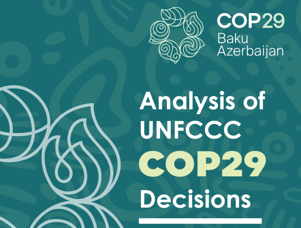 COP29 Outcome Analysis