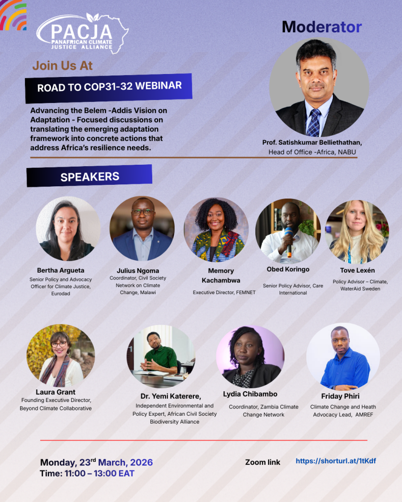 Unpacking the Belem-Addis Vision for Africa’s Climate Adaptation