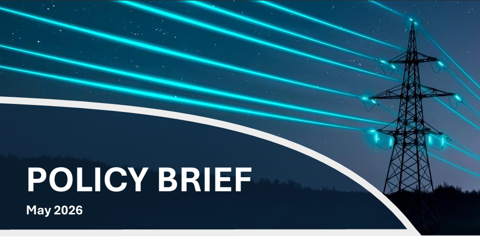 Africa and the Politics of Energy Transition:  Phase Out, Phase Down, or Transition Away?