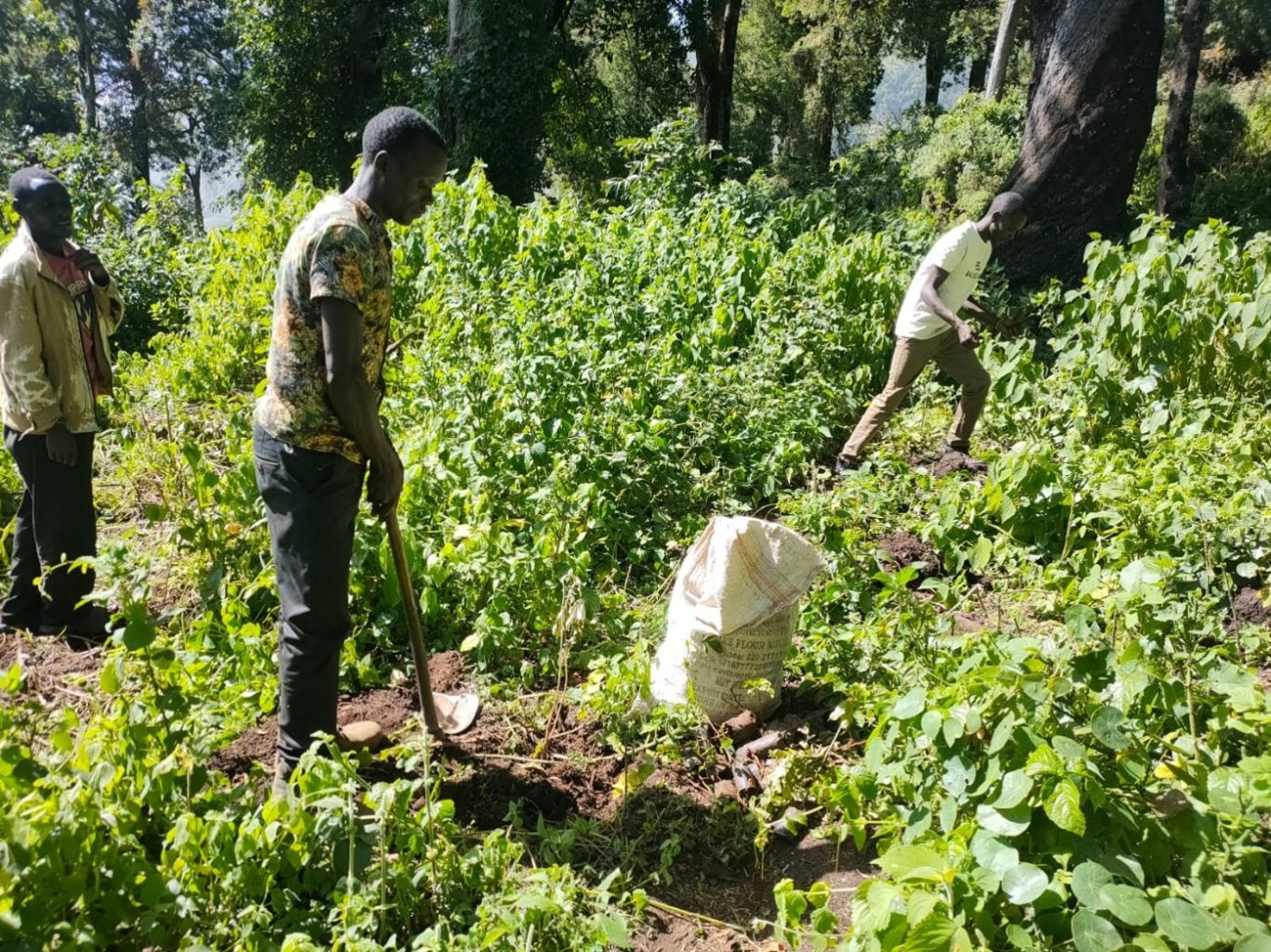 From Landslide to Land Restoration: a case of change in West Pokot